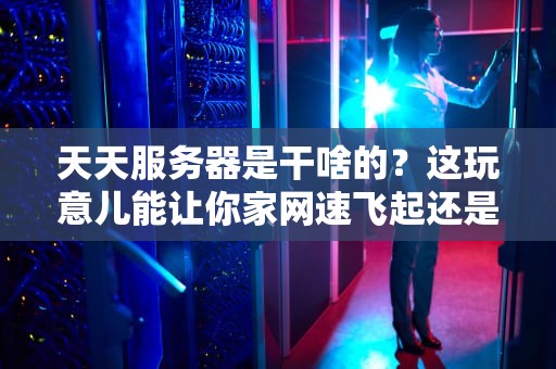 天天服务器是干啥的？这玩意儿能让你家网速飞起还是帮你挖矿？
