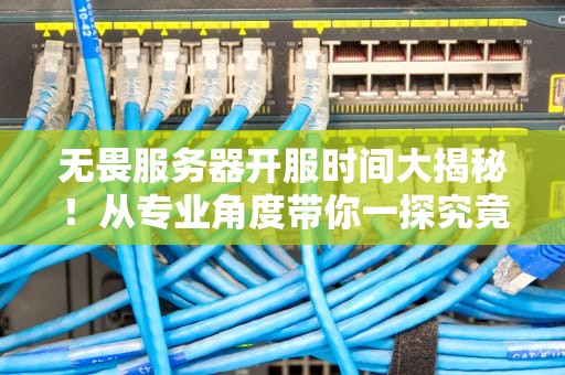 无畏服务器开服时间大揭秘！从专业角度带你一探究竟