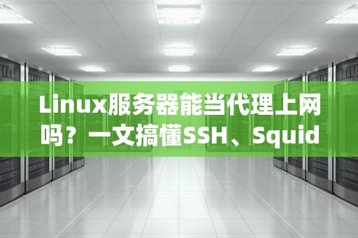 Linux服务器能当代理上网吗？一文搞懂SSH、Squid和V2Ray的骚操作！