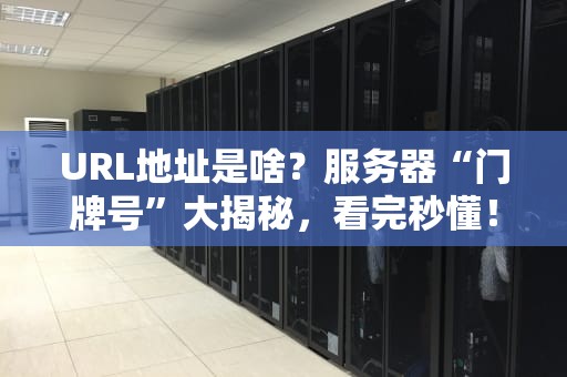 URL地址是啥？服务器“门牌号”大揭秘，看完秒懂！