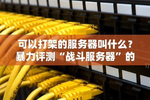 可以打架的服务器叫什么？暴力评测“战斗服务器”的硬核真相！