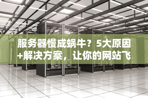 服务器慢成蜗牛？5大原因+解决方案，让你的网站飞起来！
