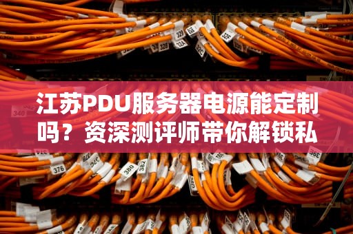 江苏PDU服务器电源能定制吗？资深测评师带你解锁私人订制的电力奥秘