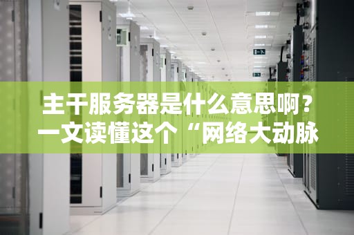 主干服务器是什么意思啊？一文读懂这个“网络大动脉”的奥秘！