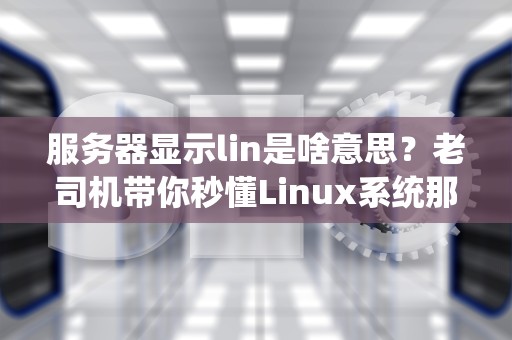 服务器显示lin是啥意思？老司机带你秒懂Linux系统那些梗！