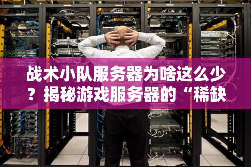 战术小队服务器为啥这么少？揭秘游戏服务器的“稀缺经济学”