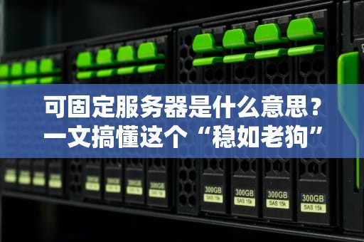 可固定服务器是什么意思？一文搞懂这个“稳如老狗”的黑科技！