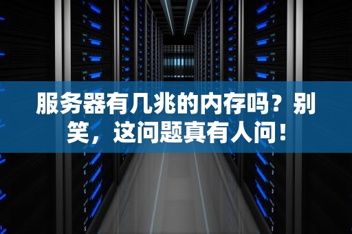 服务器有几兆的内存吗？别笑，这问题真有人问！