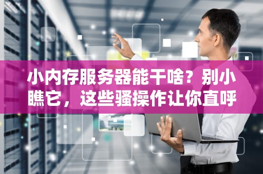 小内存服务器能干啥？别小瞧它，这些骚操作让你直呼内行！