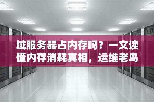 域服务器占内存吗？一文读懂内存消耗真相，运维老鸟都直呼内行！