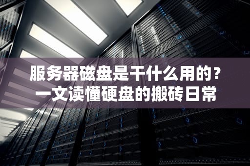 服务器磁盘是干什么用的？一文读懂硬盘的搬砖日常