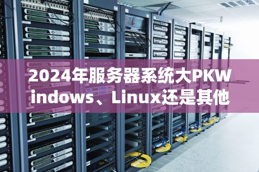 2024年服务器系统大PKWindows、Linux还是其他？谁才是你的真命天子？