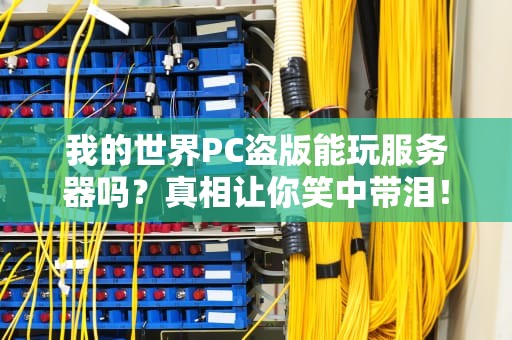 我的世界PC盗版能玩服务器吗？真相让你笑中带泪！