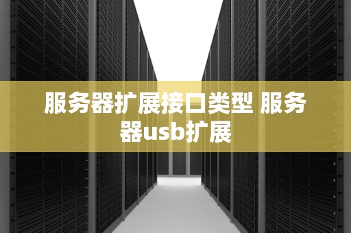 服务器扩展接口类型 服务器usb扩展