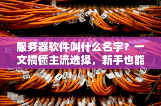 服务器软件叫什么名字？一文搞懂主流选择，新手也能秒变老司机！