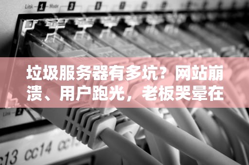 垃圾服务器有多坑？网站崩溃、用户跑光，老板哭晕在厕所！