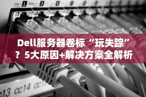 Dell服务器卷标“玩失踪”？5大原因+解决方案全解析！