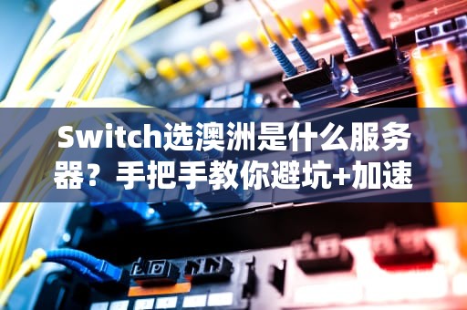 Switch选澳洲是什么服务器？手把手教你避坑+加速攻略！
