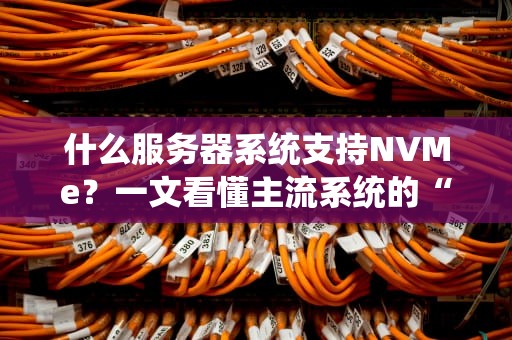 什么服务器系统支持NVMe？一文看懂主流系统的“极速狂飙”支持度！