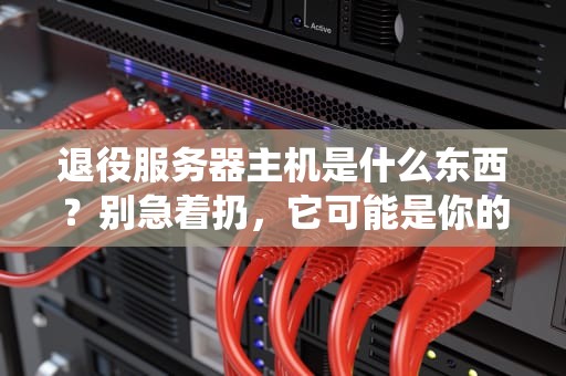 退役服务器主机是什么东西？别急着扔，它可能是你的“宝藏老男孩”！