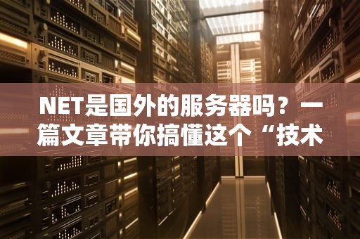 NET是国外的服务器吗？一篇文章带你搞懂这个“技术混血儿”