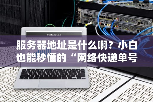 服务器地址是什么啊？小白也能秒懂的“网络快递单号”指南！