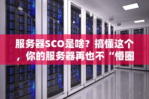 服务器SCO是啥？搞懂这个，你的服务器再也不“懵圈”了！