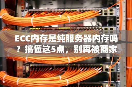 ECC内存是纯服务器内存吗？搞懂这5点，别再被商家忽悠了！
