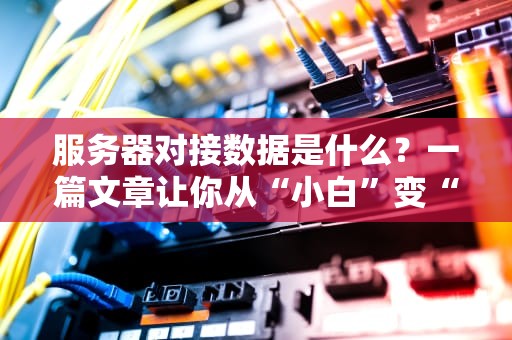 服务器对接数据是什么？一篇文章让你从“小白”变“大神”！