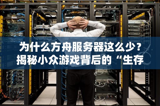 为什么方舟服务器这么少？揭秘小众游戏背后的“生存法则”