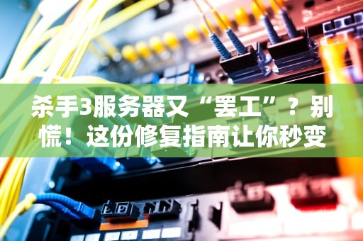 杀手3服务器又“罢工”？别慌！这份修复指南让你秒变“服务器杀手”