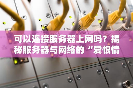 可以连接服务器上网吗？揭秘服务器与网络的“爱恨情仇”