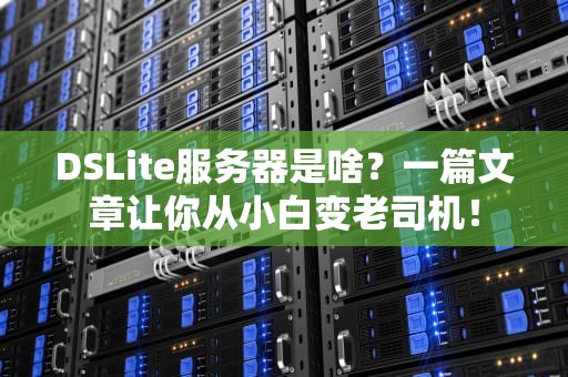 DSLite服务器是啥？一篇文章让你从小白变老司机！