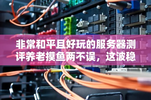 非常和平且好玩的服务器测评养老摸鱼两不误，这波稳了！