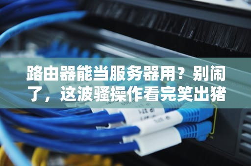 路由器能当服务器用？别闹了，这波骚操作看完笑出猪叫！