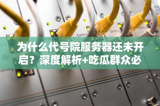 为什么代号院服务器还未开启？深度解析+吃瓜群众必备指南