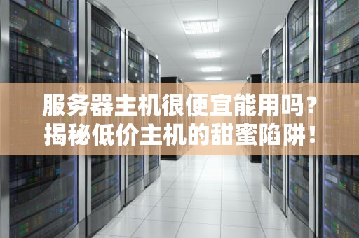 服务器主机很便宜能用吗？揭秘低价主机的甜蜜陷阱！