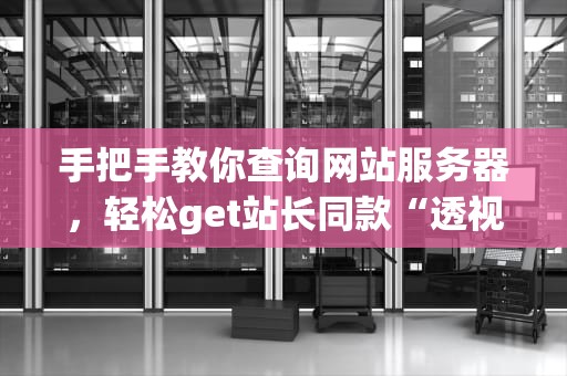 手把手教你查询网站服务器，轻松get站长同款“透视眼”！