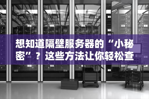想知道隔壁服务器的“小秘密”？这些方法让你轻松查个底朝天！