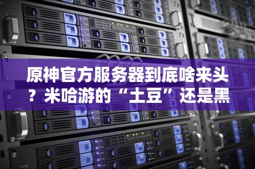 原神官方服务器到底啥来头？米哈游的“土豆”还是黑科技？深度测评+爆笑吐槽！
