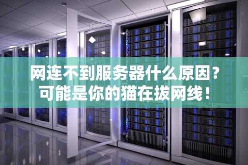 网连不到服务器什么原因？可能是你的猫在拔网线！