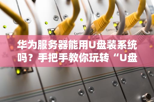 华为服务器能用U盘装系统吗？手把手教你玩转“U盘装机大法”！