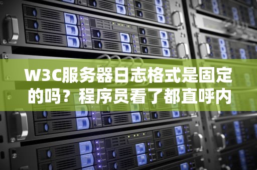 W3C服务器日志格式是固定的吗？程序员看了都直呼内行！