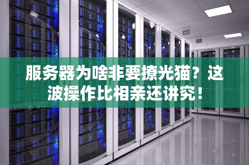 服务器为啥非要撩光猫？这波操作比相亲还讲究！