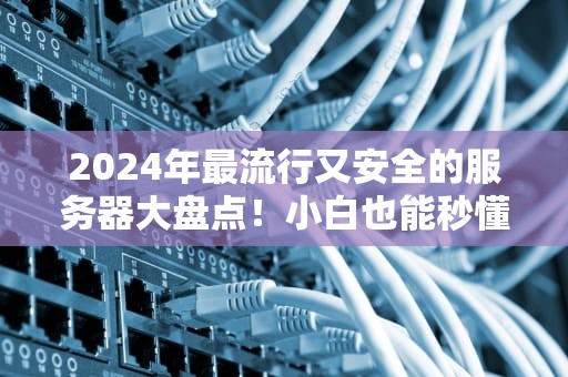 2024年最流行又安全的服务器大盘点！小白也能秒懂的硬核测评