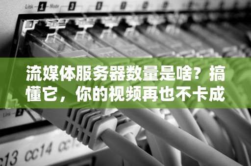 流媒体服务器数量是啥？搞懂它，你的视频再也不卡成PPT！
