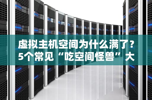 虚拟主机空间为什么满了？5个常见“吃空间怪兽”大盘点！