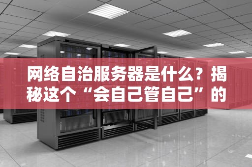 网络自治服务器是什么？揭秘这个“会自己管自己”的黑科技！