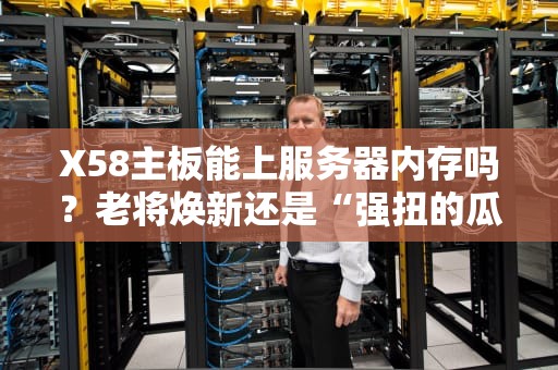 X58主板能上服务器内存吗？老将焕新还是“强扭的瓜”？