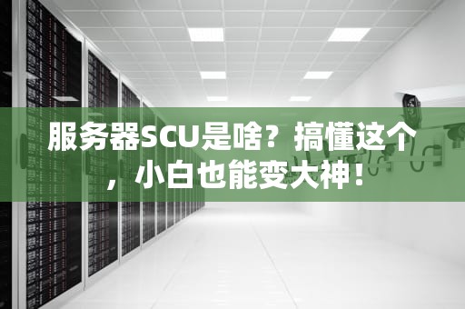 服务器SCU是啥？搞懂这个，小白也能变大神！